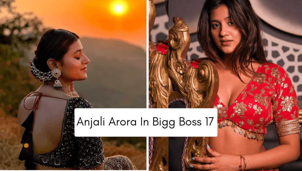 Anjali Arora In Bigg Boss 17